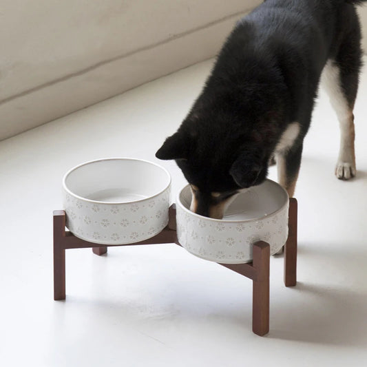 Ceramic & Wood Elevated Bowl Set — For Medium & Large Dogs