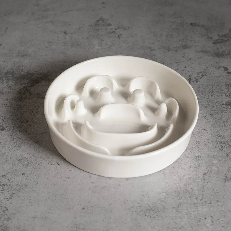 Elevated Ceramic Slow-Feeder Bowl with Stand
