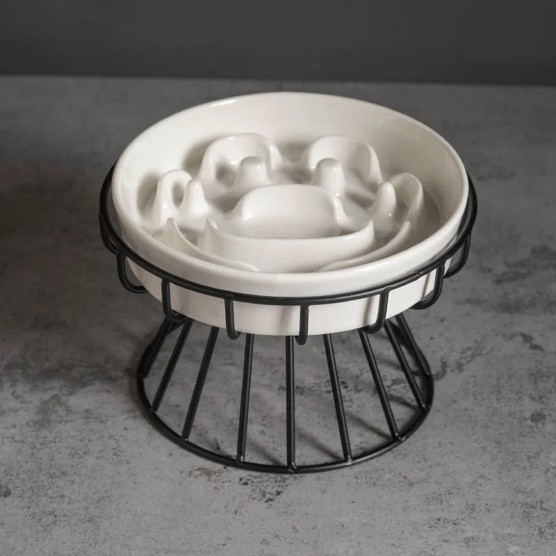 Elevated Ceramic Slow-Feeder Bowl with Stand