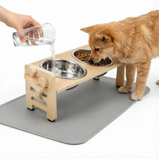 Elevated Feeding Set for Puppies & Cats — Tilted Bowls + Mat