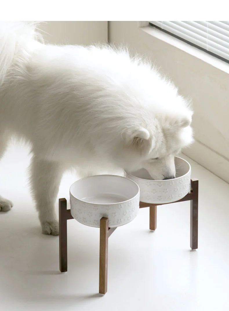 Ceramic & Wood Elevated Bowl Set — For Medium & Large Dogs