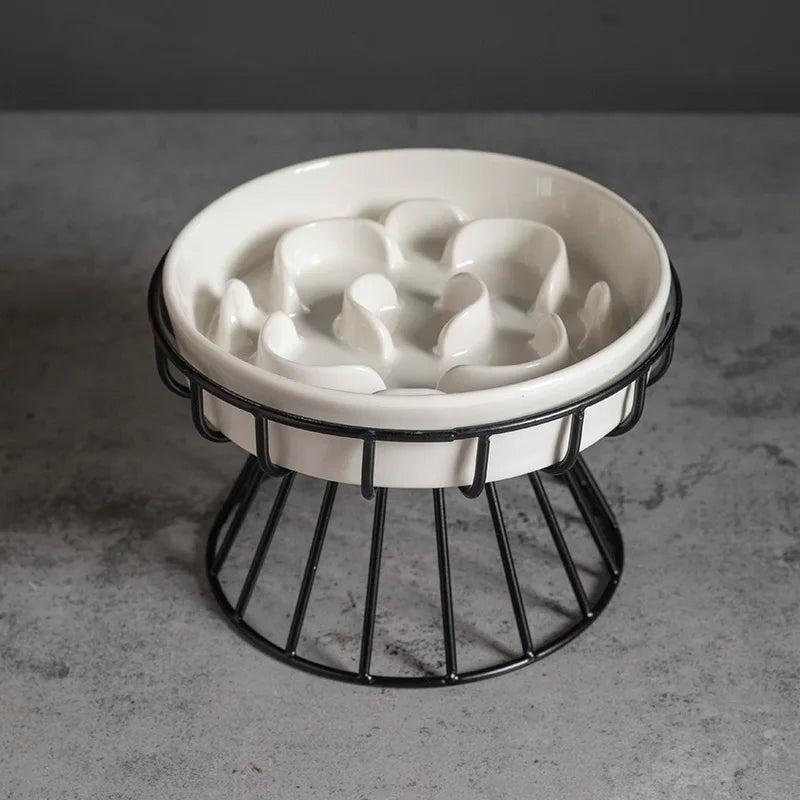 Elevated Ceramic Slow-Feeder Bowl with Stand