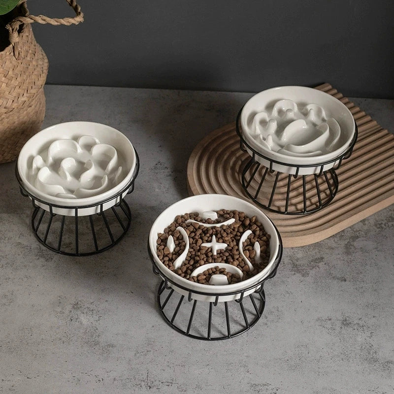 Elevated Ceramic Slow-Feeder Bowl with Stand