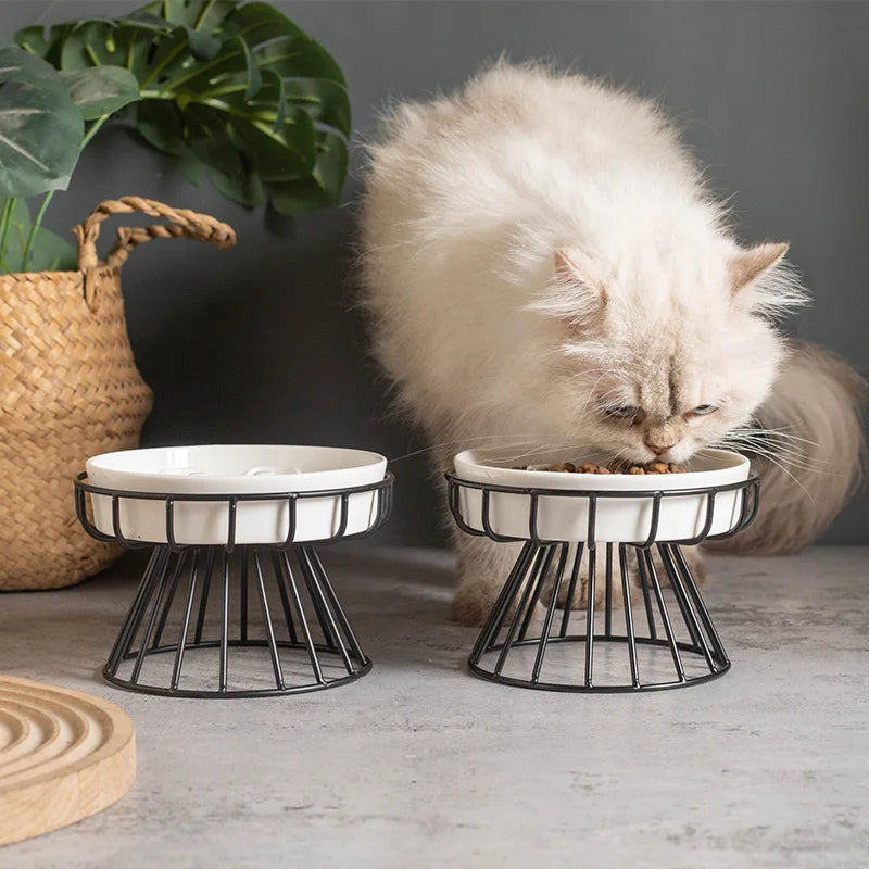 Elevated Ceramic Slow-Feeder Bowl with Stand