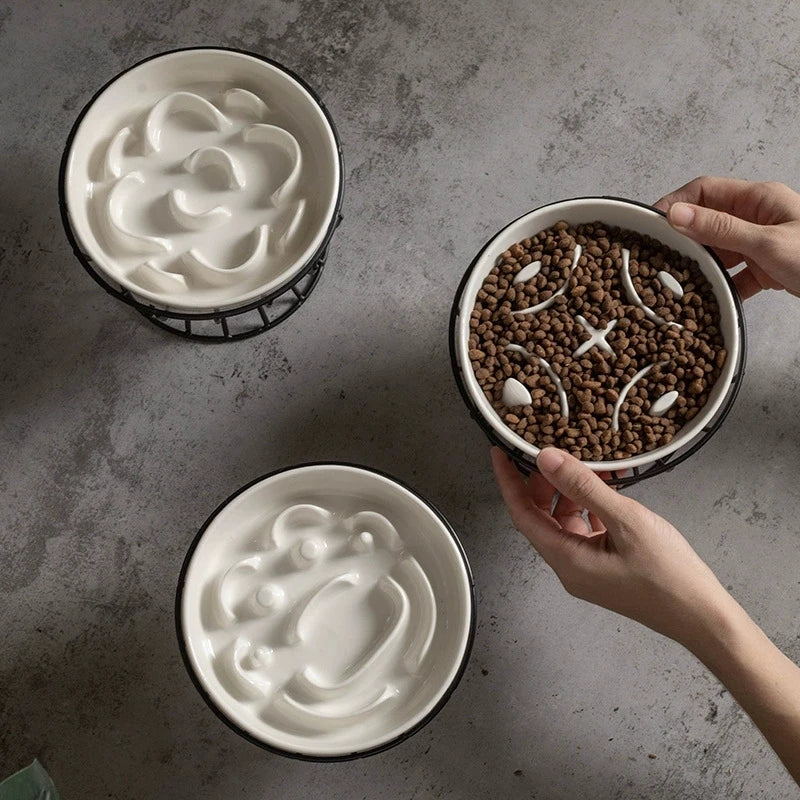 Elevated Ceramic Slow-Feeder Bowl with Stand